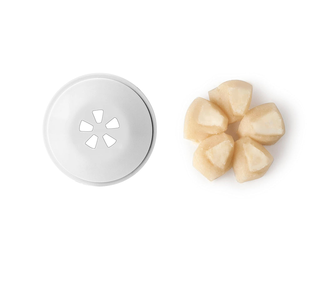 Ibili Screw-In Churrera Cookie Machine – 12 Discs