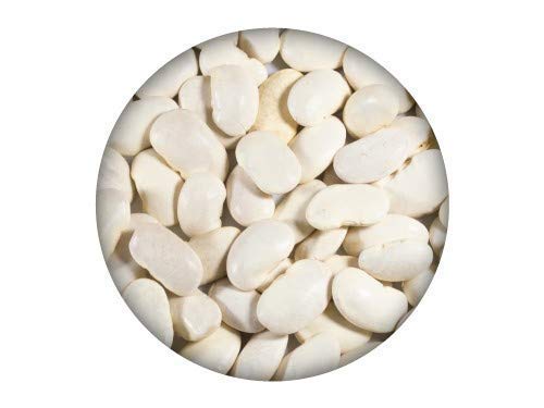 El Maragato Mammoth Judión Beans